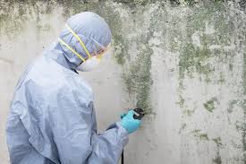 Best Water Damage & Mold Remediation  in Garden Acres, CA